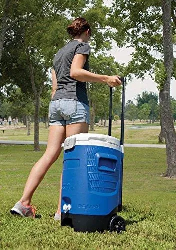 Igloo Sport Roller Beverage Cooler (Majestic Blue, 5-Gallon)