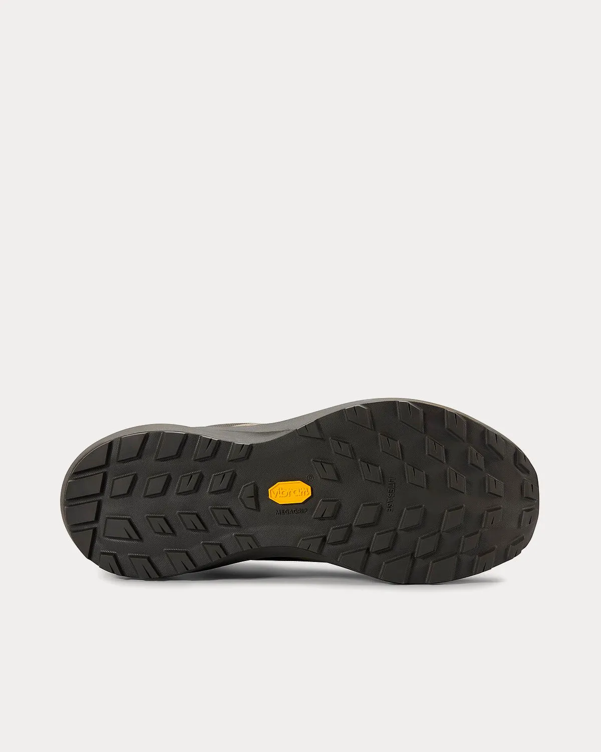 Norvan LD 3 GTX Light Forage / Shark Running Shoes